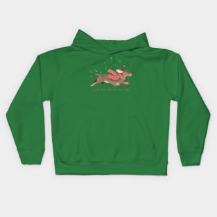 Dachshund Through The Snow Kids Hoodie